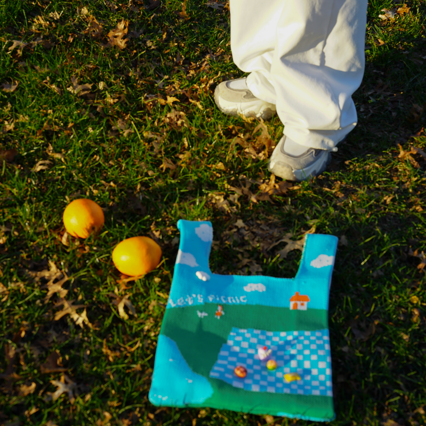 “Let's Picnic” Knitted Bag